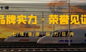 品牌实力·荣誉见证——七维喜获四项荣誉成果
